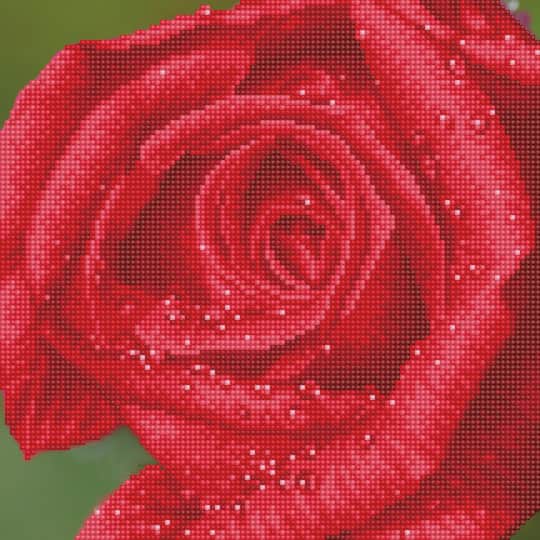 Diamond Dotz&#xAE; Intermediate Rose Dew with Frame Diamond Painting Kit